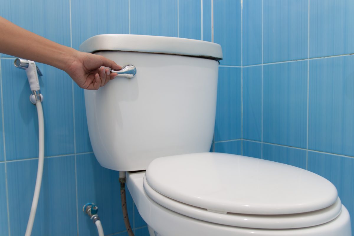 Síntomas que me indican que debo desatascar el WC - Conlima
