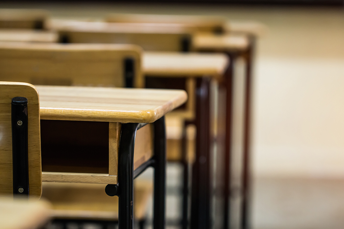 Garantizamos el control de plagas en colegios e institutos - Conlima